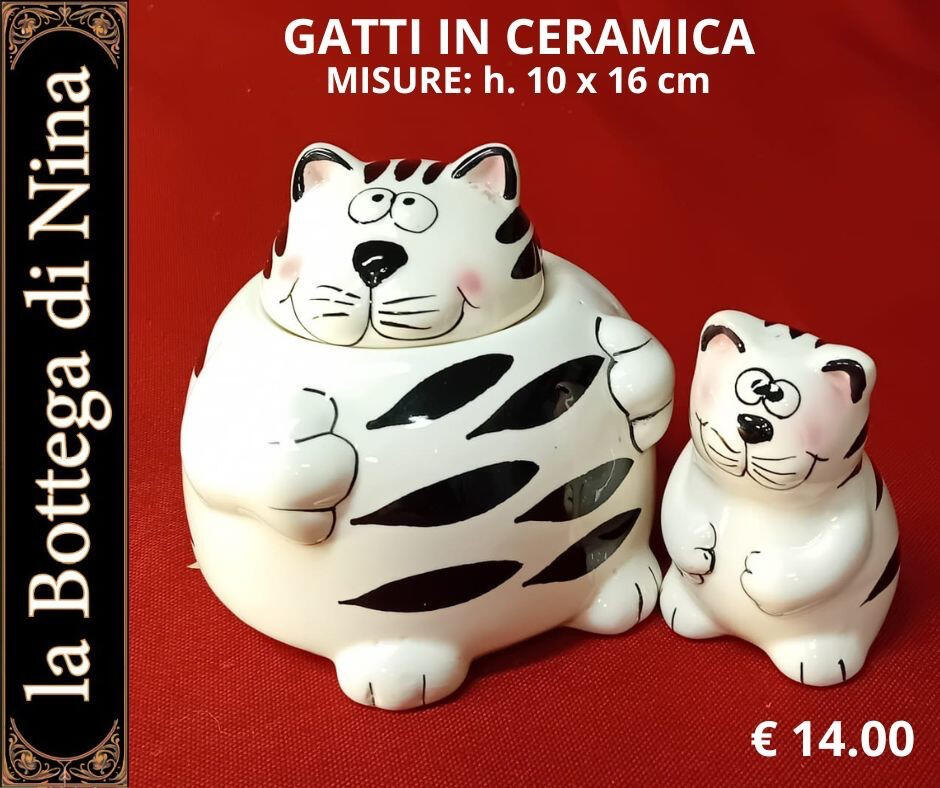 clicca sull'immagine